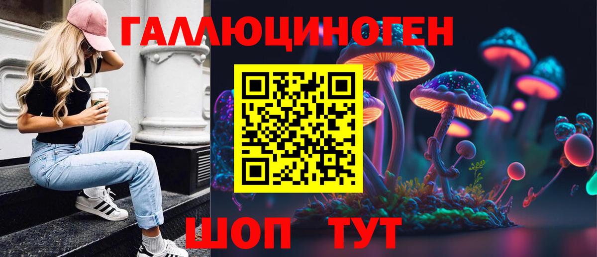 Псилоцибиновые грибы Psilocybine cubensis Сланцы