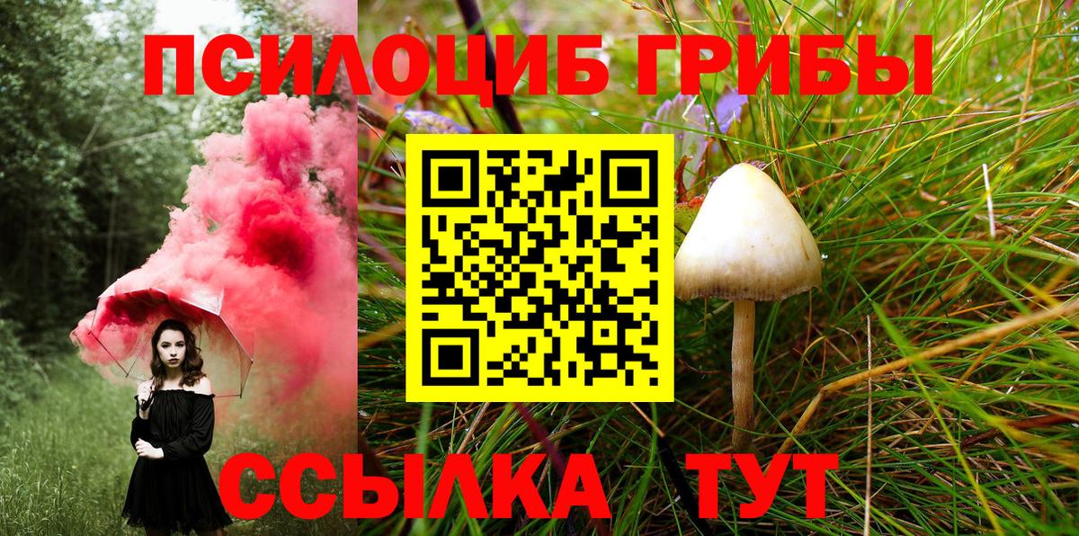 Псилоцибиновые грибы Cubensis  Вход с VPN  Сланцы  Псилоцибиновые грибы MAGIC MUSHROOMS 