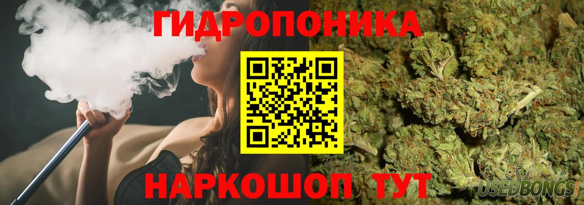 Конопля Bruce Banner Сланцы